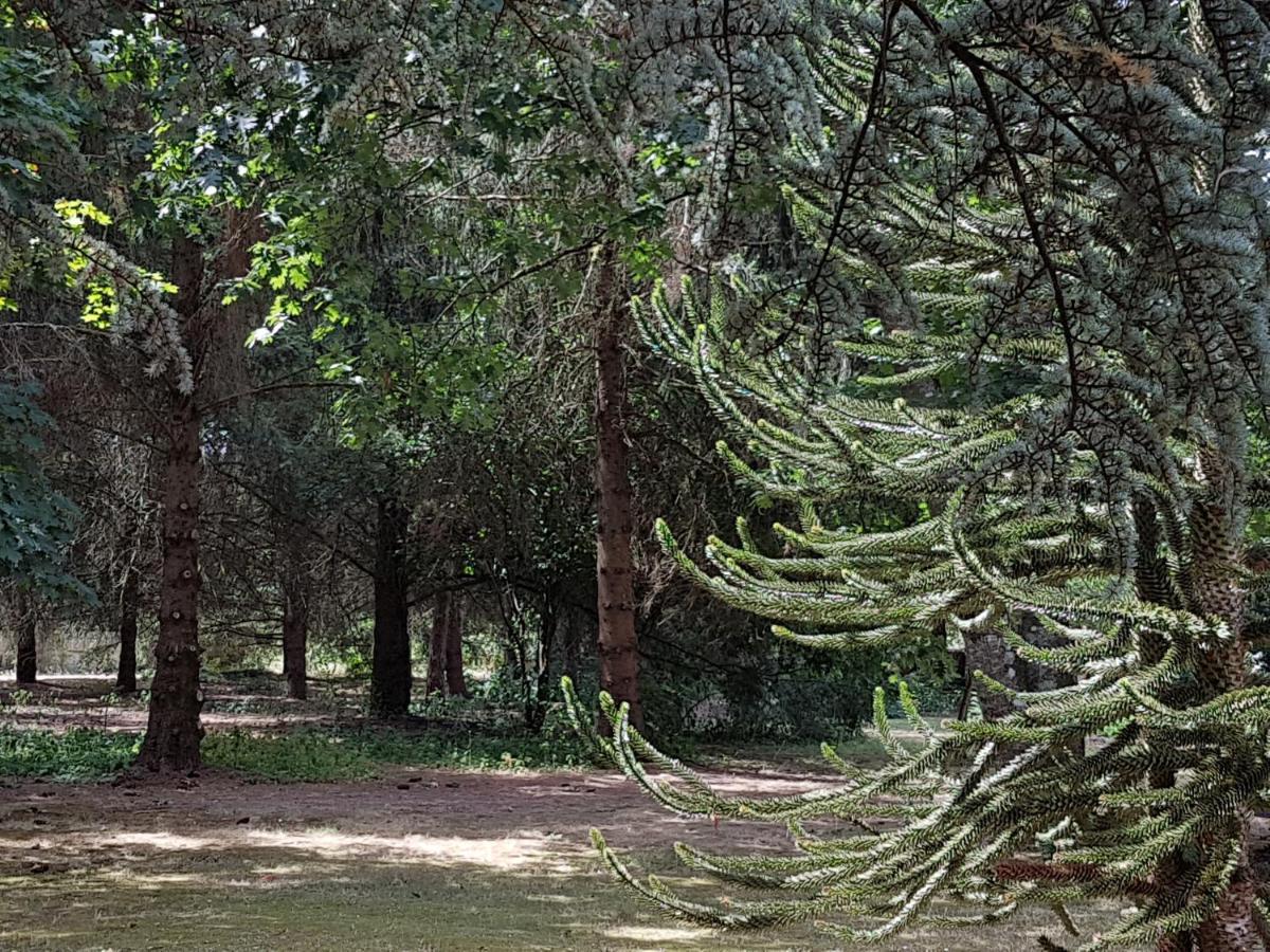 Le Clos Des Ecureuils Vouzon Екстер'єр фото