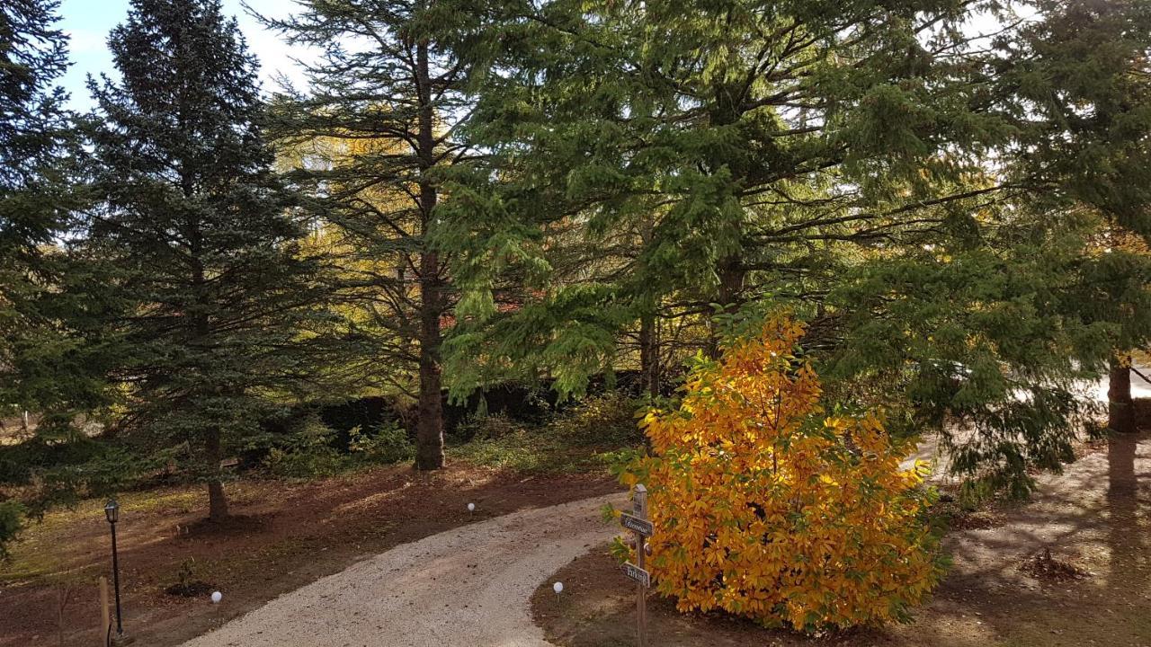 Le Clos Des Ecureuils Vouzon Екстер'єр фото