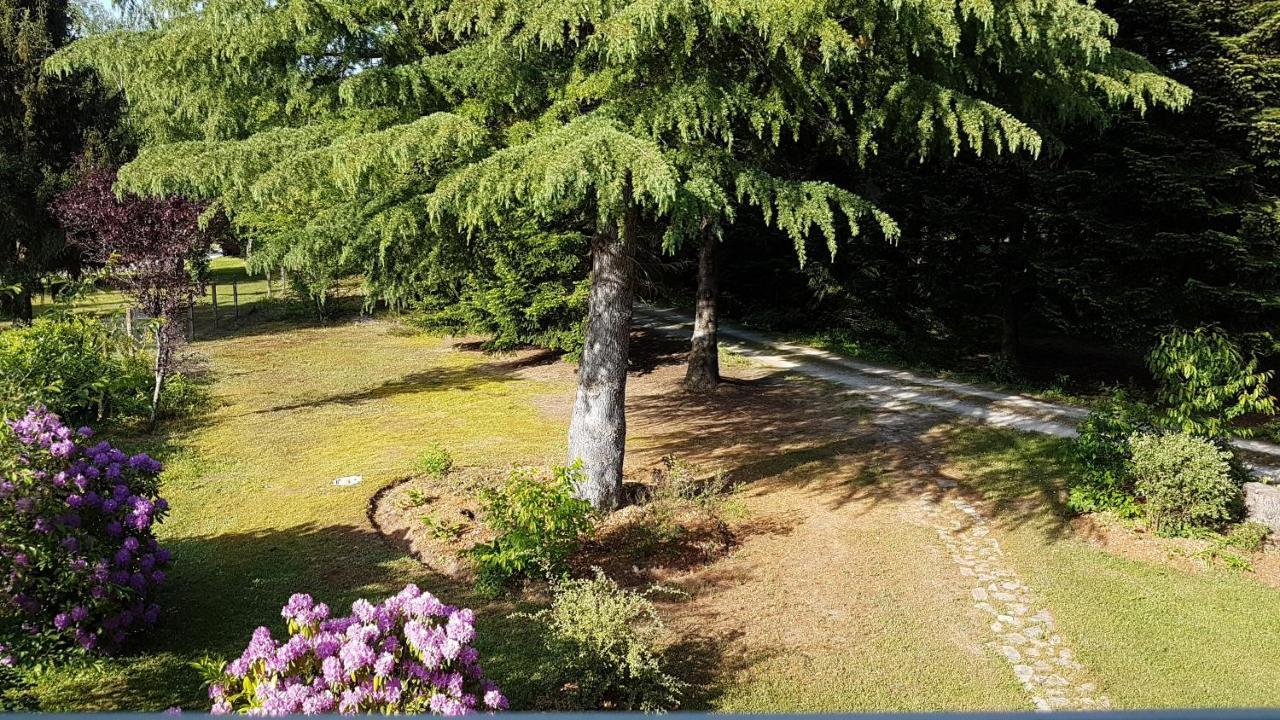 Le Clos Des Ecureuils Vouzon Екстер'єр фото