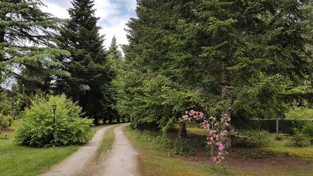 Le Clos Des Ecureuils Vouzon Екстер'єр фото