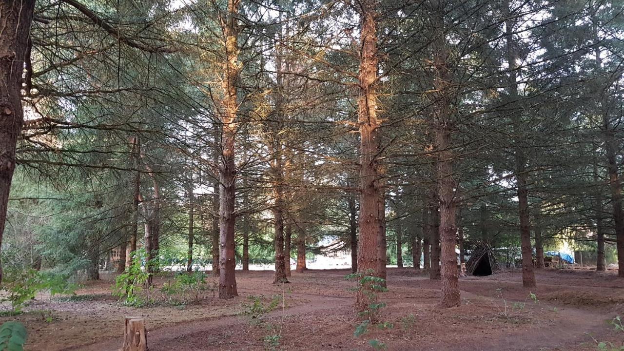 Le Clos Des Ecureuils Vouzon Екстер'єр фото