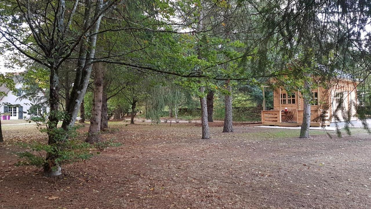 Le Clos Des Ecureuils Vouzon Екстер'єр фото