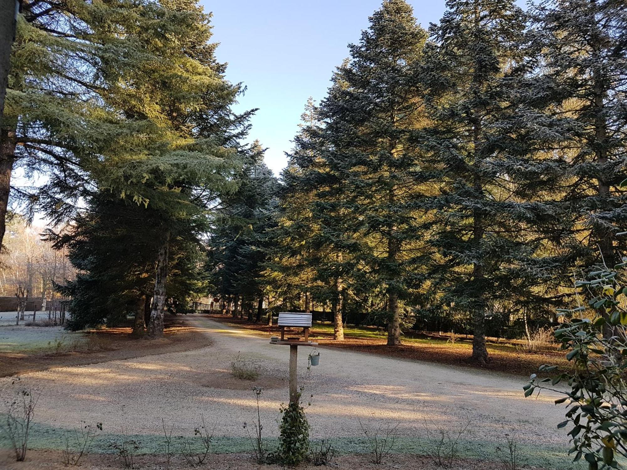 Le Clos Des Ecureuils Vouzon Екстер'єр фото