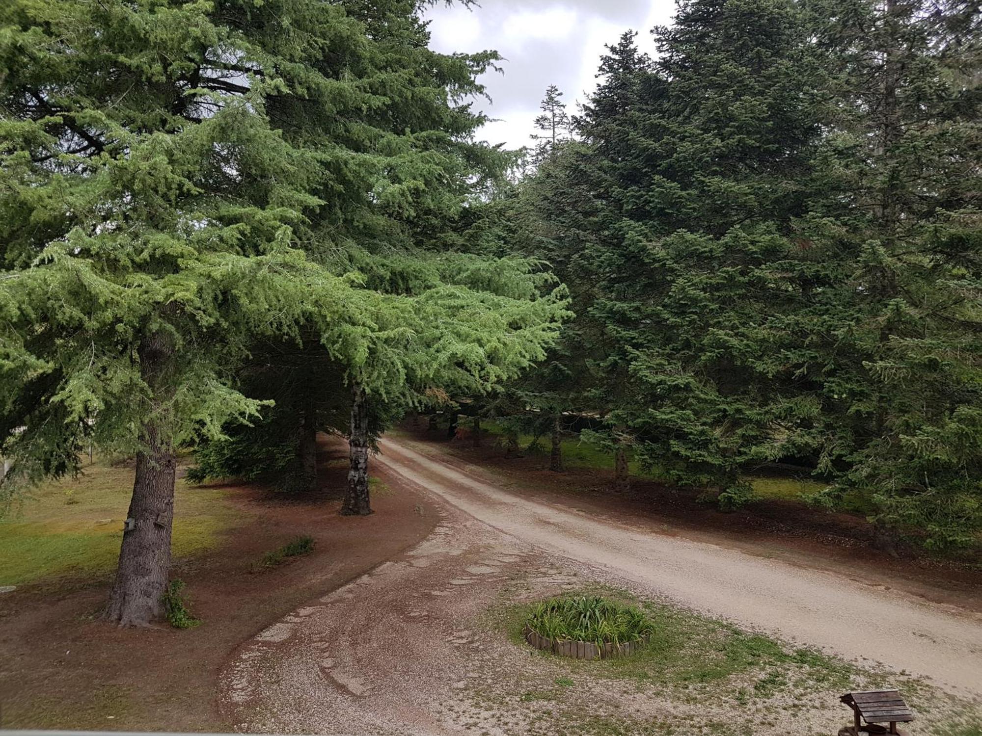 Le Clos Des Ecureuils Vouzon Екстер'єр фото