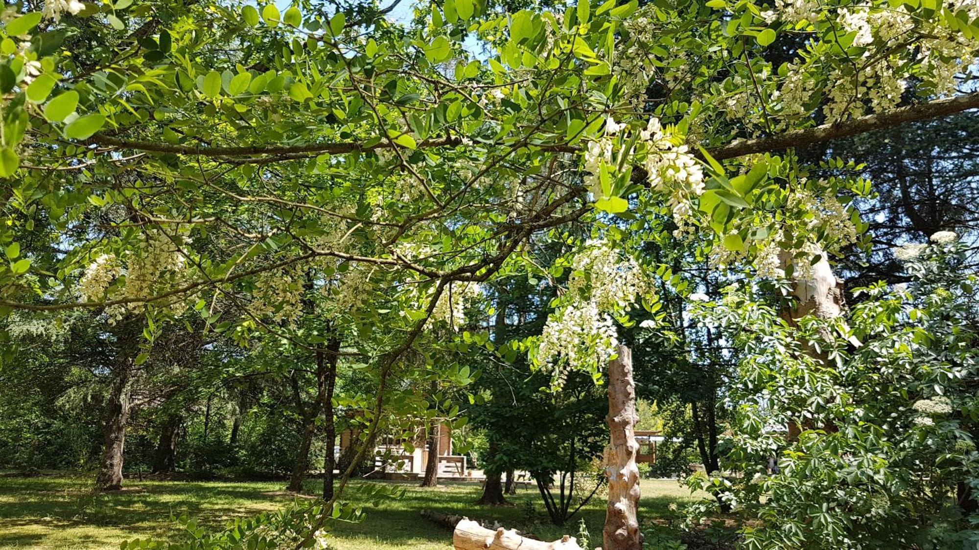 Le Clos Des Ecureuils Vouzon Екстер'єр фото