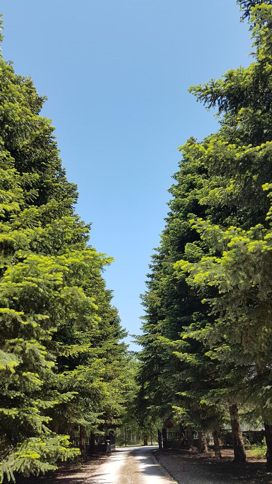 Le Clos Des Ecureuils Vouzon Екстер'єр фото